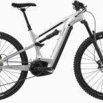Cannondale Moterra Neo 3