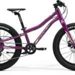 Merida MATTS J. 20+