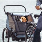 Thule Chariot Courier Kind & Hund – Bild 2